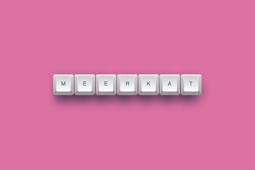 Meerkat text on a 3d keyboard button with shadow, 3d Illustration