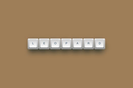Leopard text on a 3d keyboard button with shadow, 3d Illustration