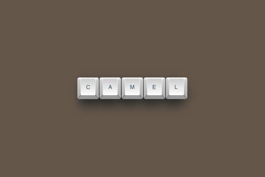 Camel text on a 3d keyboard button with shadow, 3d Illustration