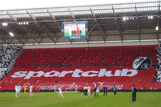 Choreography of the Freiburg fans before the kick-off of the match of the 1st FBL: 24-25: 1st FBL: 24-25: 9th Sptg. SC Freiburg - FSV Mainz 05  DFL REGULATIONS PROHIBIT ANY USE OF PHOTOGRAPHS AS IMAGE SEQUENCES AND/OR QUASI-VIDEONann  Photo: Joachim Hahne/johapress