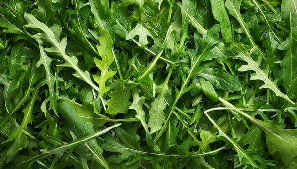 rocket salad flat top view, AI generated image