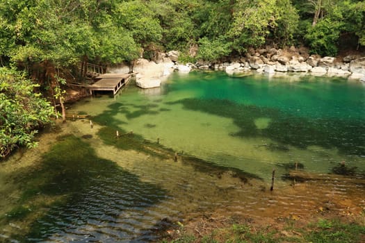 The intense green water of the cool pool, a small pond, lake, lagoon on the Thakhek Motorbike Loop, Laos 2023