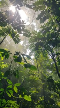 Lush canopies alive with birdsong
