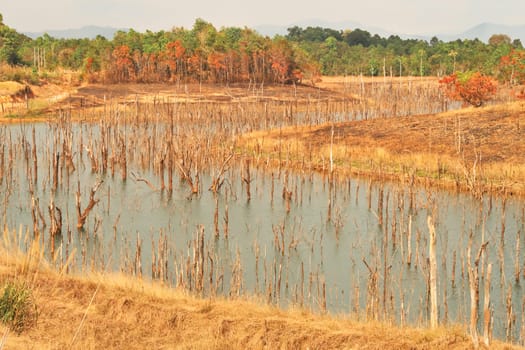 View onto the flooded forest, submerged trees of Nam Theun, now in the reservoir lake of a hydroelectric dam along the Thakhek Motorbike Loop, Laos