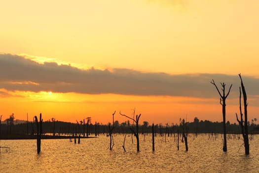 Watching the sunset over the flooded forest, submerged trees, reservoir lake of Nam Theun from the village town of Thalang on the Thakhek Motorbike Loop, Laos 2023