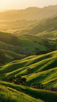 Rolling hills and meadows in the golden hour