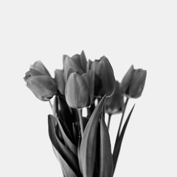 Black and white bouquet of tulip bouquet. Creative modern floral still life.