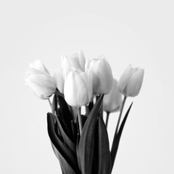 Black and white bouquet of tulip bouquet. Creative modern floral still life.