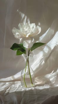 Clean representation of a single white flower in a vase.