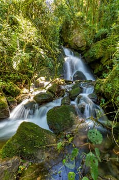 Small wild mountain river Rio Savegre, long exposure and milky water. Stunning landscape of wilderness and pure nature. San Gerardo de Dota, Costa Rica.
