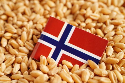 Iceland flag on grain wheat, trade export and economy concept.