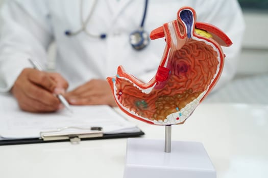 Stomach disease, doctor holding anatomy model for study diagnosis and treatment in hospital.