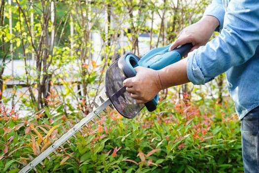 Gardener trimming bush by electric hedge clippers in garden. Hobby at home.