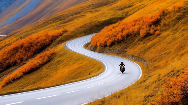 A motorcyclist rides through a winding road surrounded by vibrant autumn foliage, capturing the essence of freedom.