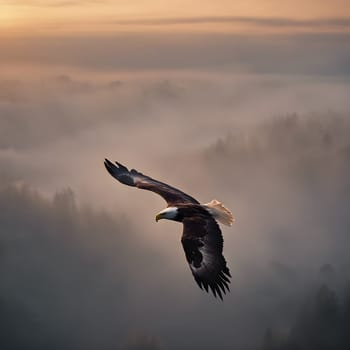 In the Mist: A Lone Eagle at Daybreak