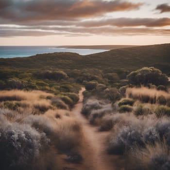 Golden Hour on Kangaroo Island
