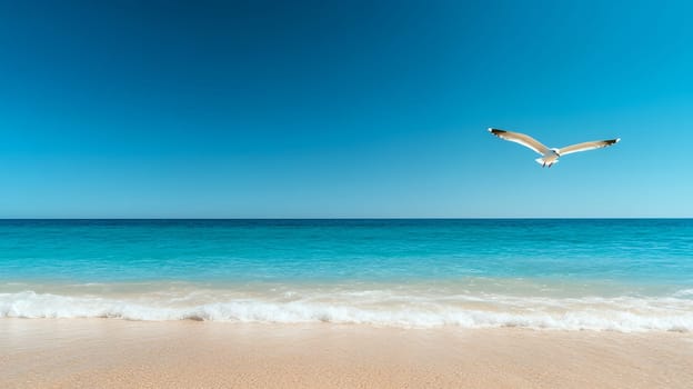 A lone seagull flying over a tranquil beach with clear blue water and sky, capturing a serene coastal scene.