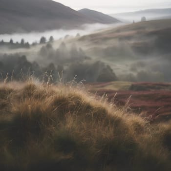 Misty Mornings: Enchantment in the Scottish Highlands