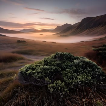 Whispers of Fog: The Mystique of Scotland's Highlands