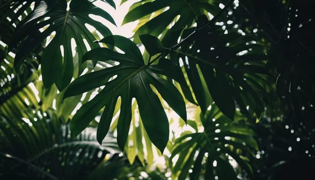 Vibrant Monstera leaves hang gracefully, bathed in soft sunlight filtering through the canopy of a tropical rainforest, creating a serene atmosphere. Generative AI.