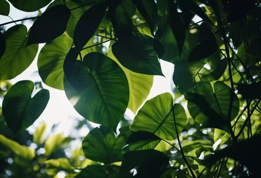Vibrant Monstera leaves hang gracefully, bathed in soft sunlight filtering through the canopy of a tropical rainforest, creating a serene atmosphere. Generative AI.
