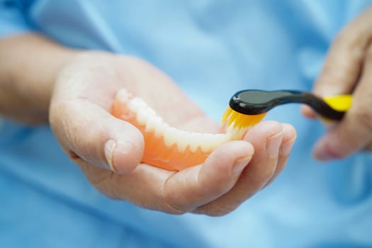 Doctor holding teeth denture in hand for dentist studying about dentistry.