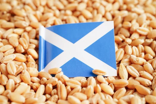 Scotland flag on grain wheat, trade export and economy concept.