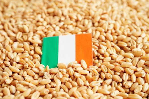 Ireland flag on grain wheat, trade export and economy concept.