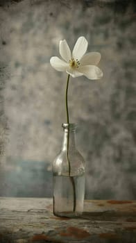 Clean representation of a single white flower in a vase.