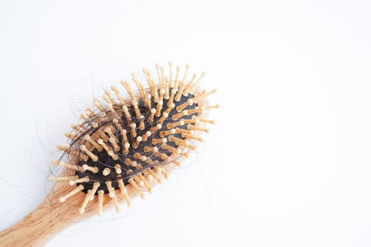 Hair loss fall with comb brush isolated on white background.