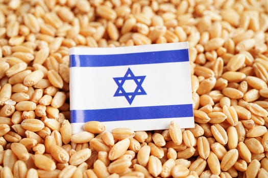 Israel flag on grain wheat, trade export and economy concept.