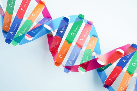DNA molecule spiral structure model isolated on white background, chromosome and gene chemical science biology.