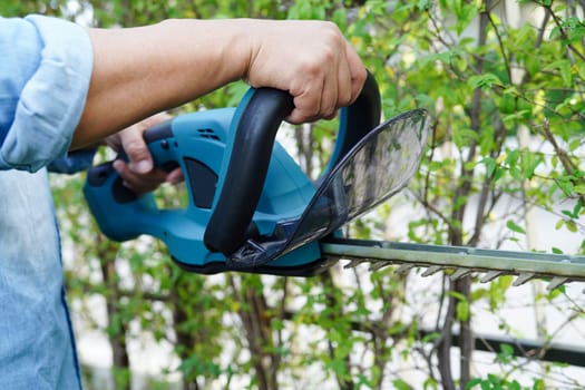 Gardener trimming bush by electric hedge clippers in garden. Hobby at home.