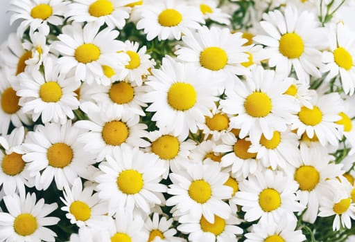 Close-Up Of Chamomile - Generative AI