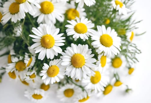 Close-Up Of Chamomile - Generative AI