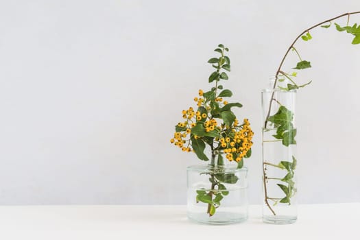 yellow berry twig ivy glass vase desk against background. Resolution and high quality beautiful photo