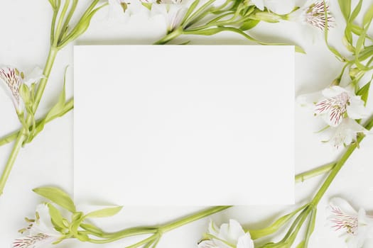 white blank placard surrounded with alstroemeria flowers. Resolution and high quality beautiful photo