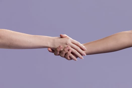 women handshake as sign peace. Resolution and high quality beautiful photo