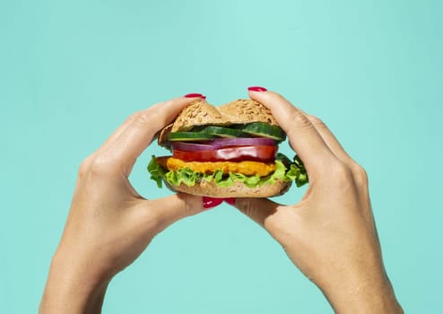 yummy burger with salad vegetables. Resolution and high quality beautiful photo
