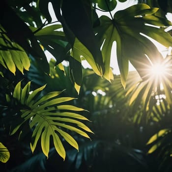 Vibrant Monstera leaves hang gracefully, bathed in soft sunlight filtering through the canopy of a tropical rainforest, creating a serene atmosphere. Generative AI.