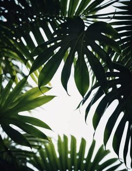 View of various tropical plants with striking green leaves, set against a vivid yellow orange backdrop, creating a lively indoor atmosphere filled with natural light. Copy space. Generative AI