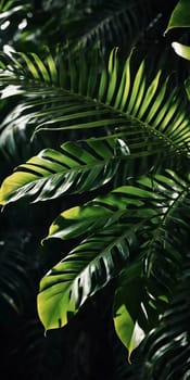 Vibrant Monstera leaves hang gracefully, bathed in soft sunlight filtering through the canopy of a tropical rainforest, creating a serene atmosphere. Generative AI.
