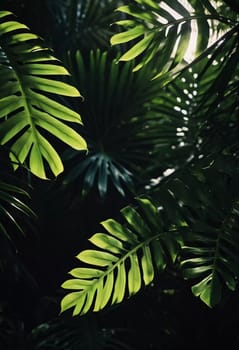 Vibrant Monstera leaves hang gracefully, bathed in soft sunlight filtering through the canopy of a tropical rainforest, creating a serene atmosphere. Generative AI.