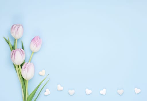 tulip flowers with small hearts. Resolution and high quality beautiful photo