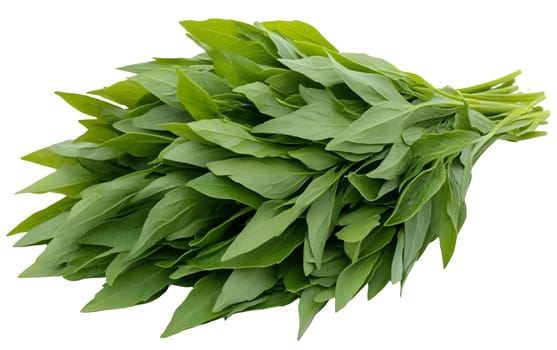 A vibrant bunch of fresh spinach leaves, ideal for salads and cooking, showcasing their rich green color. Isolated on white background.