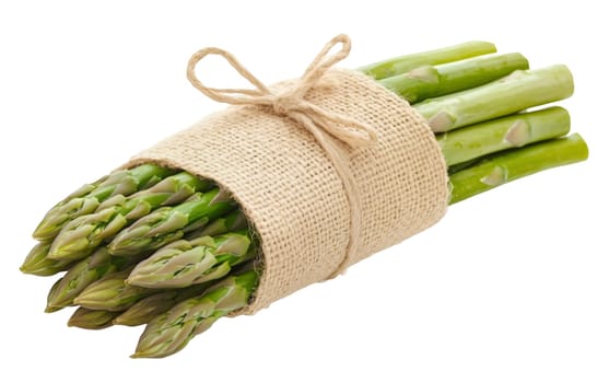 A bundle of fresh asparagus spears wrapped in burlap, ready for cooking and garnishing. Isolated on white background.