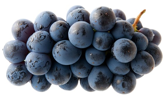 A bunch of juicy white grapes, perfect for wine production and fresh consumption. Isolated on white background.