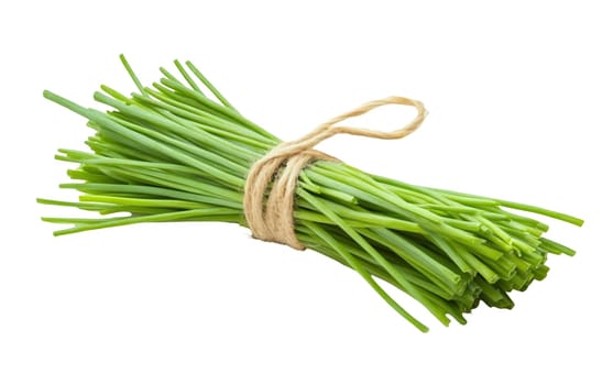 A neatly tied bundle of fresh chives on a white background, perfect for culinary use and garnishing dishes. Isolated on white background.