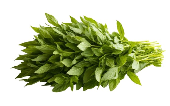 A lush bunch of fresh basil leaves, ideal for adding flavor to dishes and enhancing culinary creations. Isolated on white background.