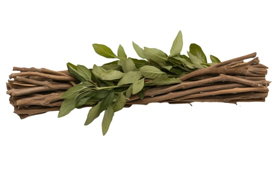 Ashwagandha roots with fresh leaves, known for their medicinal properties, displayed on a plain background. Isolated on white background.